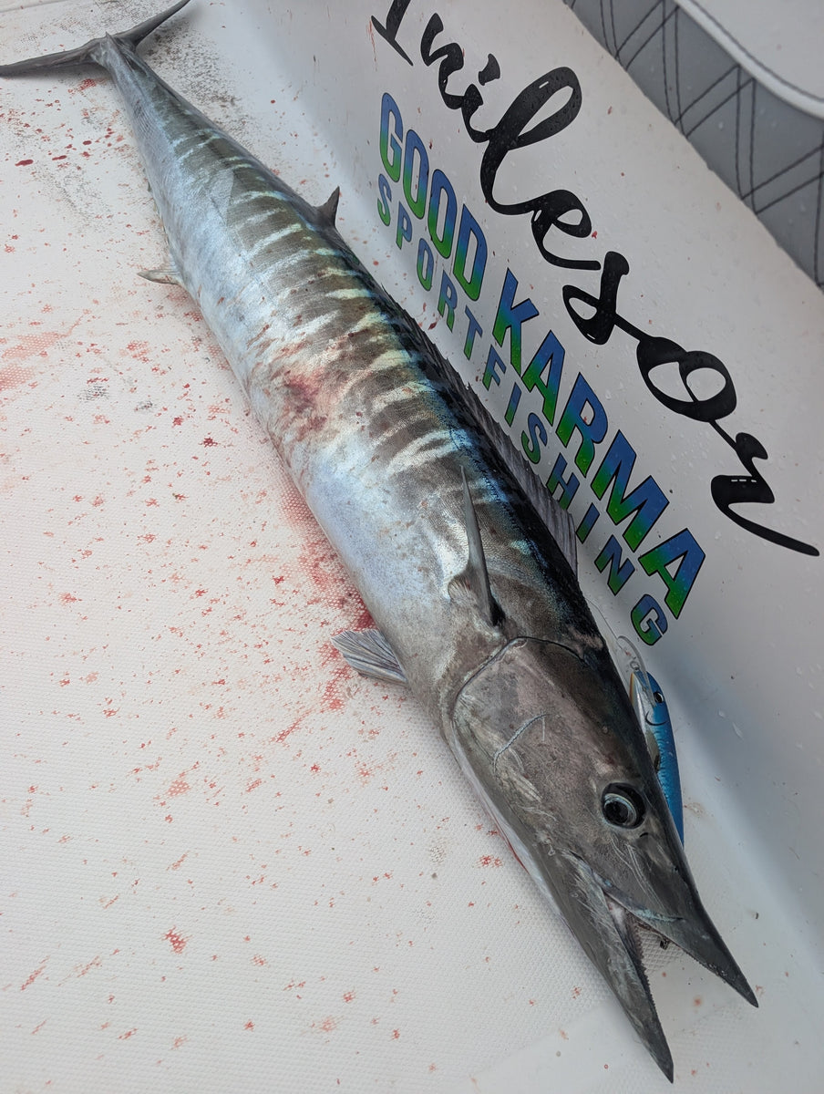 Wahoo Planers/Downriggers and Live Bait Wahoo – Good Karma Fishing Tackle