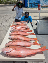 Moon Phase Mutton Snappers
