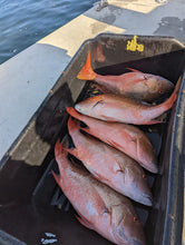 How to Fish the Patch Reef Fish Florida Keys-2.0 Nearshore/Reef 8 Week Intensive Program