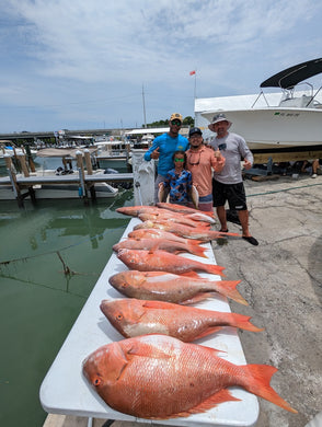 How to Catch Mutton Snappers-Secrets to Drift Fishing