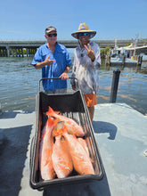 NEW! The Current & Deepwater Mutton Snappers 8 Week Intensive + Bonus QA