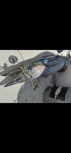 The Wahoo Engineer’s Edge: A 4-Week Intensive on Wahoo High Speed Fishing with Gore’s Offshore