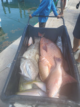 8 Week Intensive-Catch Big Mutton Snapper and Groupers in 55 ft-190 ft-"2.0 Edition"