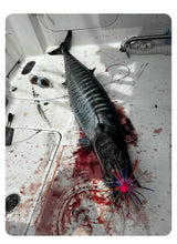The Wahoo Engineer’s Edge: A 4-Week Intensive on Wahoo High Speed Fishing with Gore’s Offshore
