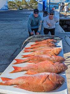 New! Mutton Snapper/Grouper Wreck and Live Bottom(200 and beyond)-Includes More Deep Drop