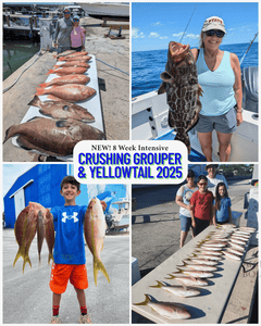NEW! 8 Week Intensive-CRUSHING Groupers & Yellowtail Snappers 2025