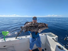 Grouper Fishing Opener 2026-New Tactics