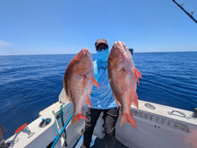 NEW! The Current & Deepwater Mutton Snappers 8 Week Intensive + Bonus QA