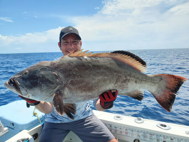 Capt. Ryan's Reef Strategies.