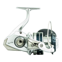 Shimano Saragosa SW A Saltwater Spinning Reel, SRG6000SWAHG